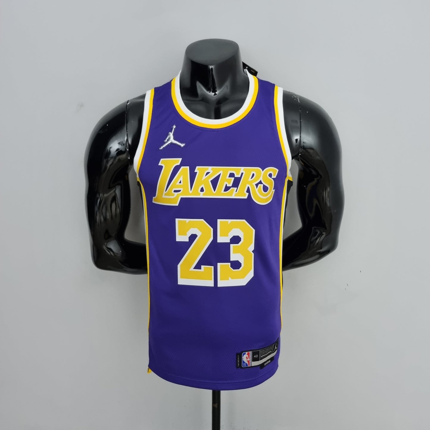 Los Angeles Lakers Purple Jersey #23 LeBron James